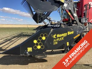 Photo of a 2019 Honey Bee 236