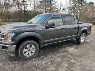 Photo of a 2019 Ford F150